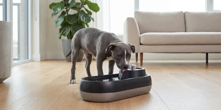 Foto klizači za telefone